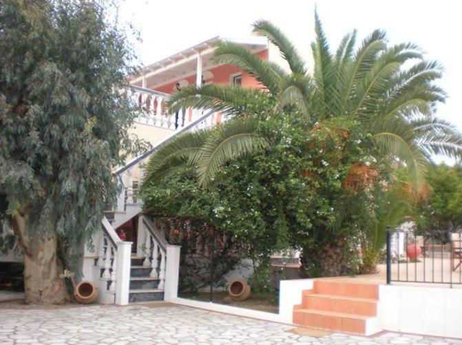 a house with stairs and a palm tree in front of it at Aggelos Studios in Panormos Kalymnos