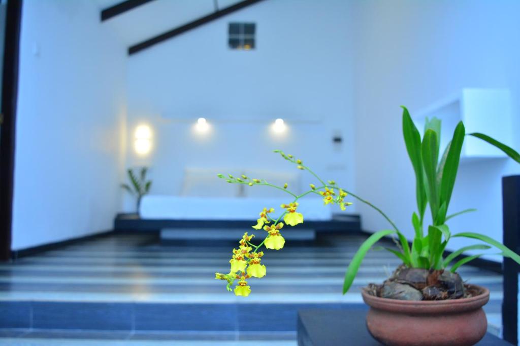 a vase of flowers on a table in a room at Midigama Holiday Inn in Midigama