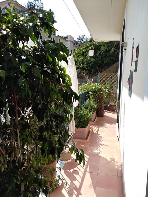 Kép Fronte al Porto szállásáról Salernóban a galériában