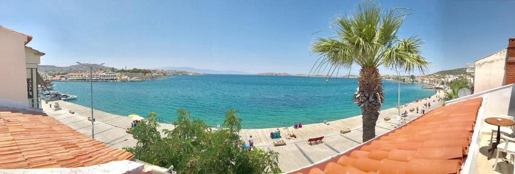 a view of a beach with a palm tree and the ocean at Ayshe Hotel in Foça