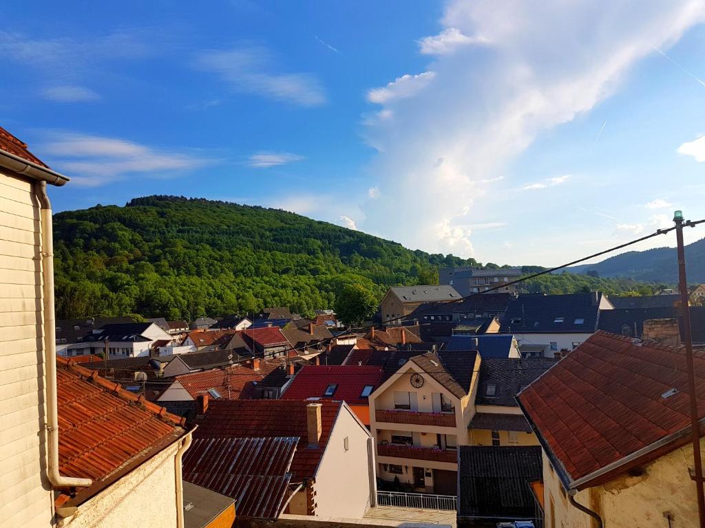 a view of a town with a mountain in the background at Ein Trip in die Natur in Bollendorf