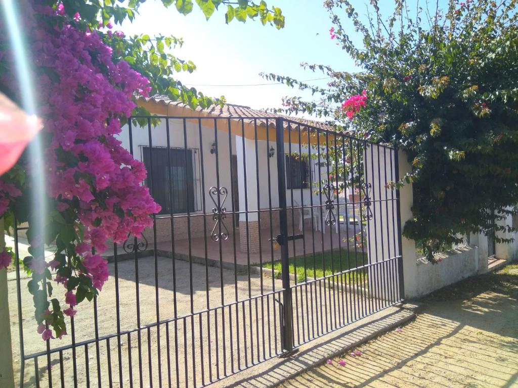 un portail métallique avec des fleurs roses sur une clôture dans l'établissement Trujilllo Holiday Home, à Conil de la Frontera