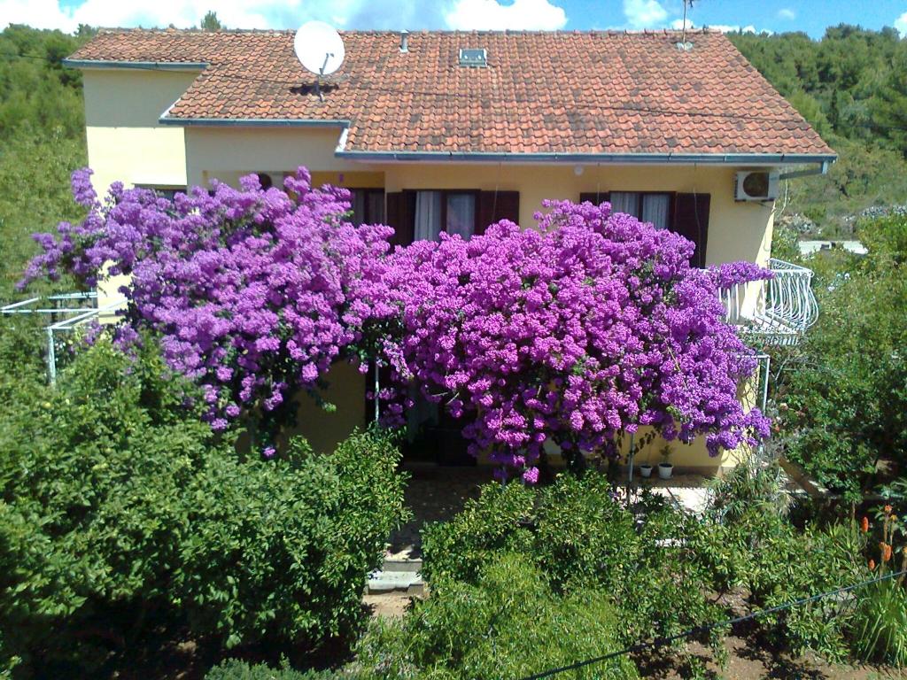 a bush of purple flowers in front of a house at Apartments Runac in Stari Grad