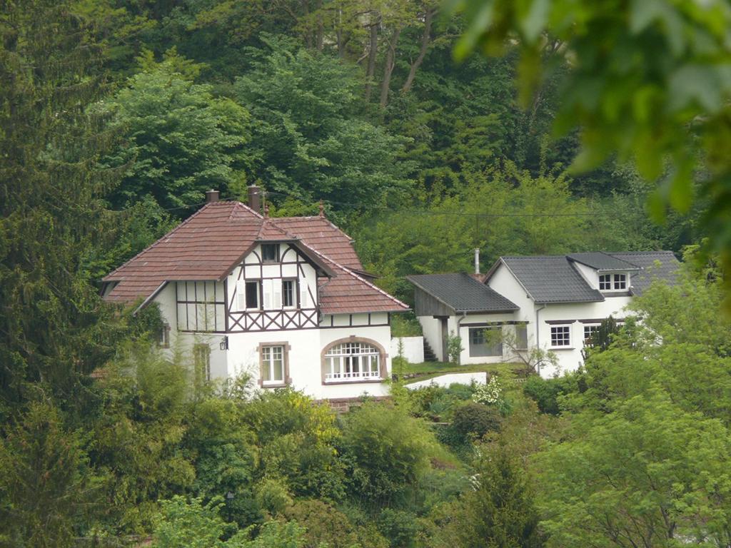 ein großes weißes Haus inmitten eines Hügels in der Unterkunft La Dependance de la Villa des Oiseaux - La Petite Pierre in La Petite-Pierre