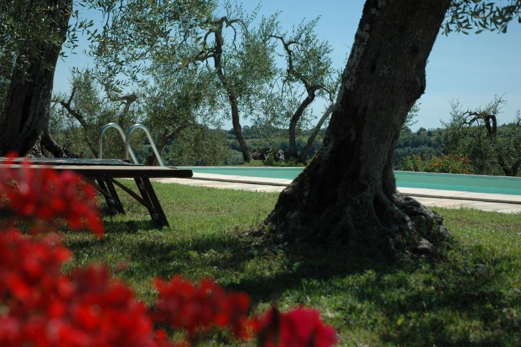 Bazén v ubytování Agriturismo Le Querce nebo v jeho okolí