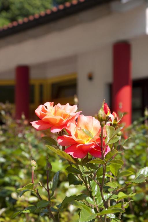 Kim Hotel Im Park - Resim 22