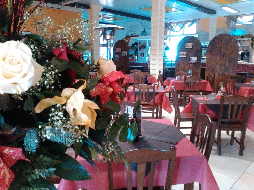 Oasi B&B hotel Restaurant - Studio