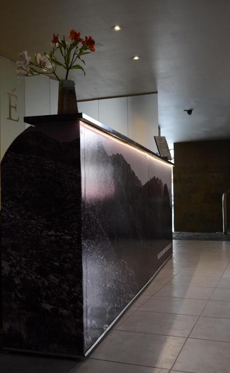 Fotografie z fotogalerie ubytování Apart Hotel Maue v destinaci Mendoza