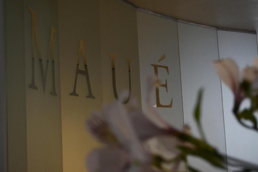 Fotografie z fotogalerie ubytování Apart Hotel Maue v destinaci Mendoza