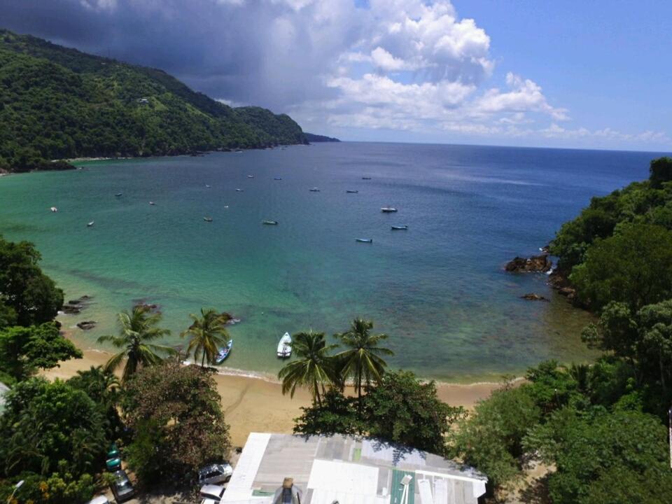 una vista di una spiaggia con palme e l'oceano di Lillibets a Castara