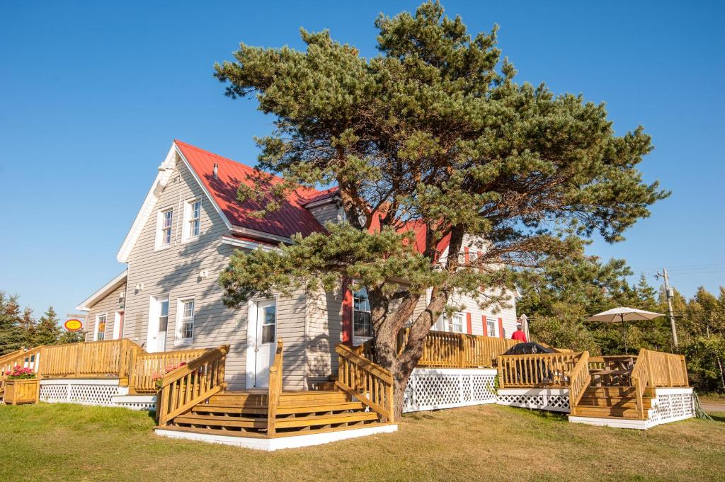 Zahrada ubytování Cavendish Lodge & Cottages