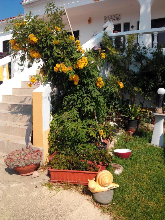 a garden in front of a house with flowers at Vivenda Familia Pedro in Vila do Bispo