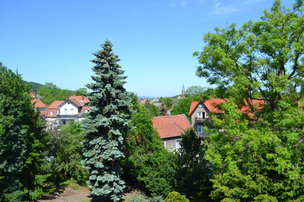 Příroda nedaleko hotelu