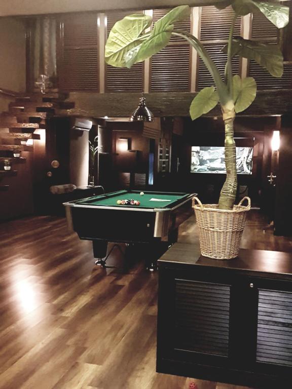 a room with a pool table and a potted plant at Miracle Suite in Ipoh