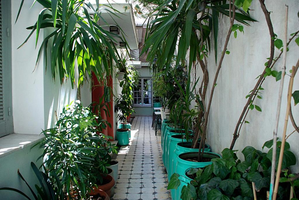 um corredor com uma fila de vasos de plantas num edifício em Pagration Youth Hostel em Atenas