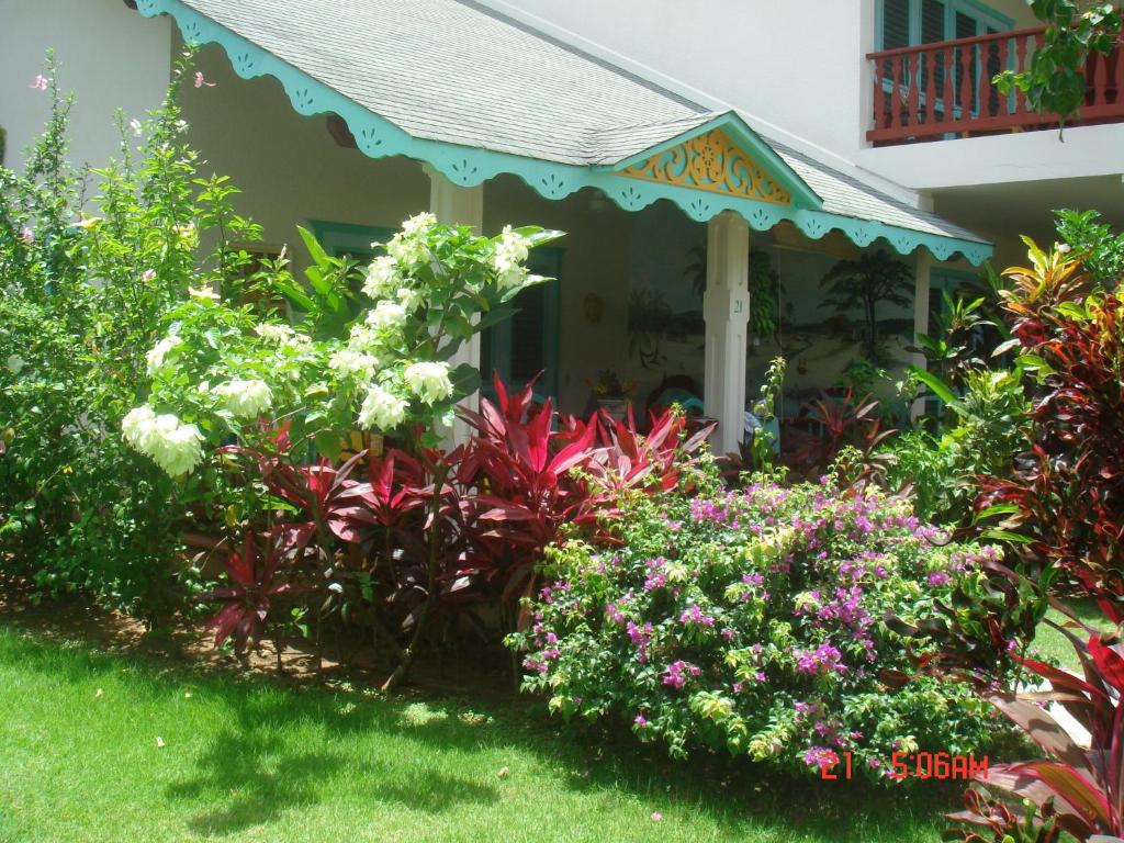 Un jardín fuera de Hotel Playa Colibri