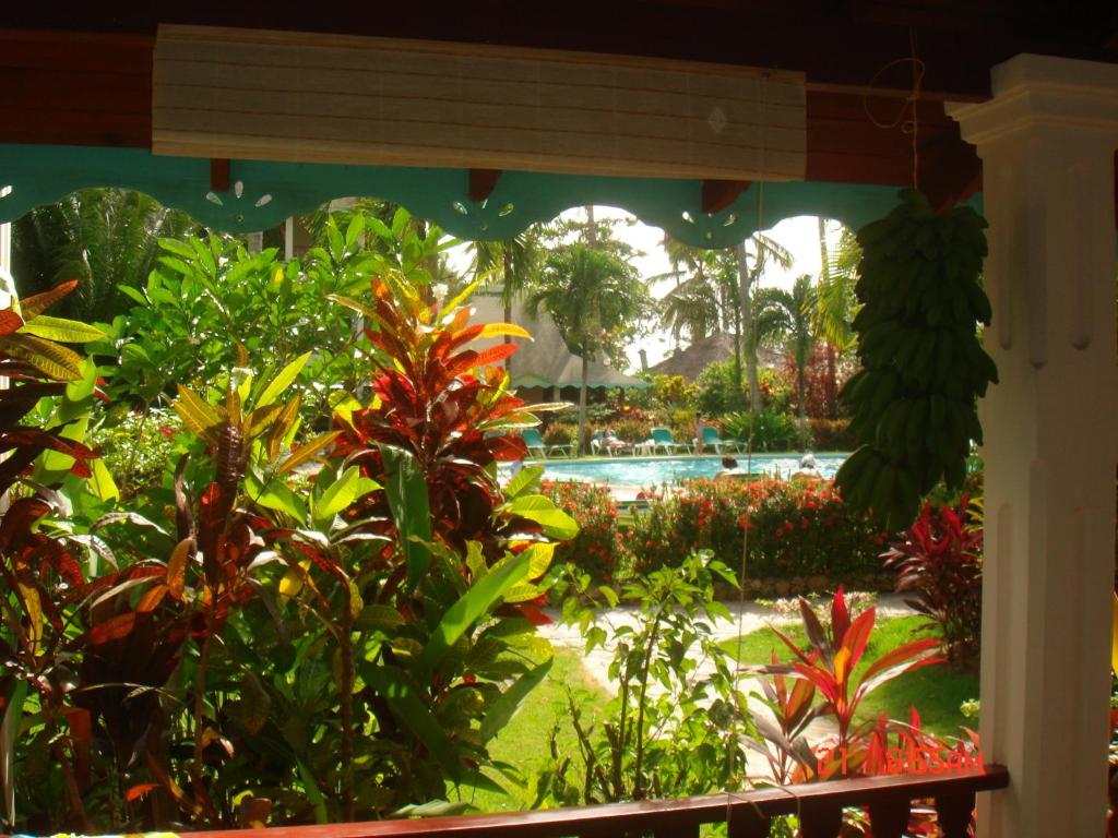 Un jardín fuera de Hotel Playa Colibri