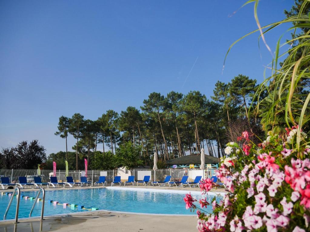 a swimming pool with blue chairs and pink flowers at Camping Officiel Siblu Les Dunes de Contis in Saint-Julien-en-Born