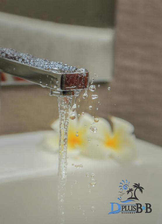 Fotografie z fotogalerie ubytování D Plus B&B Negombo v Negombu