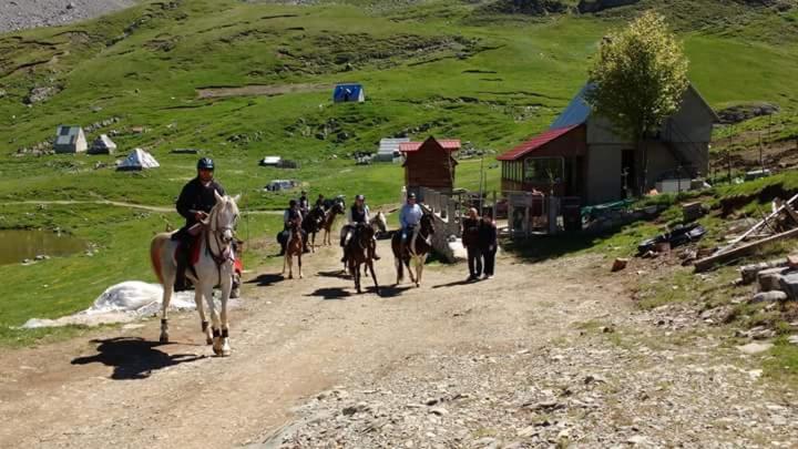 Hosté ubytování Rural Household MINIĆ - Kapetanovo jezero