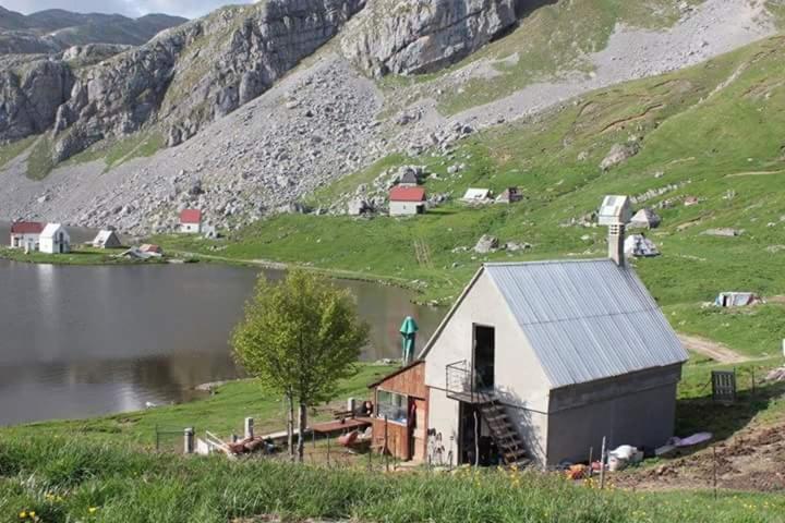 Příroda nedaleko hostelu