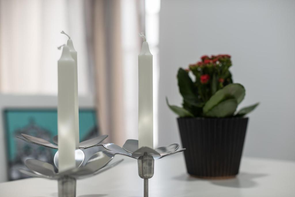 Apartamentos Turísticos Domus Seleqtia Plaza Mayor - 14