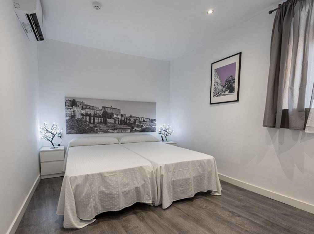 Apartamentos Turísticos Domus Seleqtia Plaza Mayor - 17