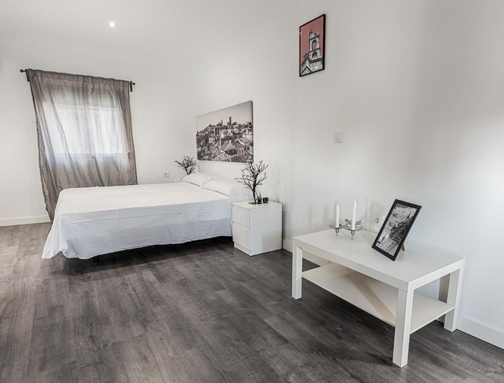 Apartamentos Turísticos Domus Seleqtia Plaza Mayor - 10