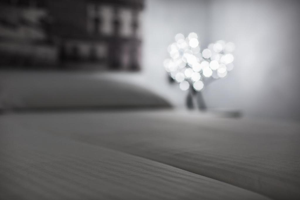 Apartamentos Turísticos Domus Seleqtia Plaza Mayor - 6