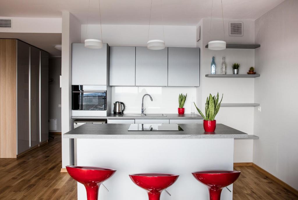 Kuchyň nebo kuchyňský kout v ubytování Apartamenty I.M.A Towarowa