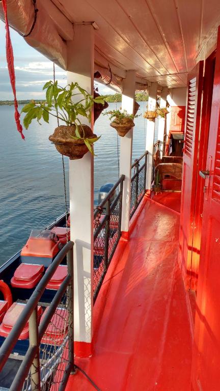 Selvagem Tours