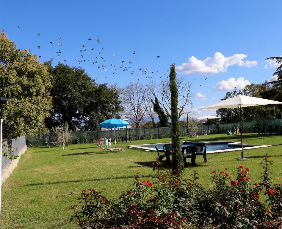 um bando de pássaros voando no céu sobre um parque em Parcoverdepino em Bastia Umbra