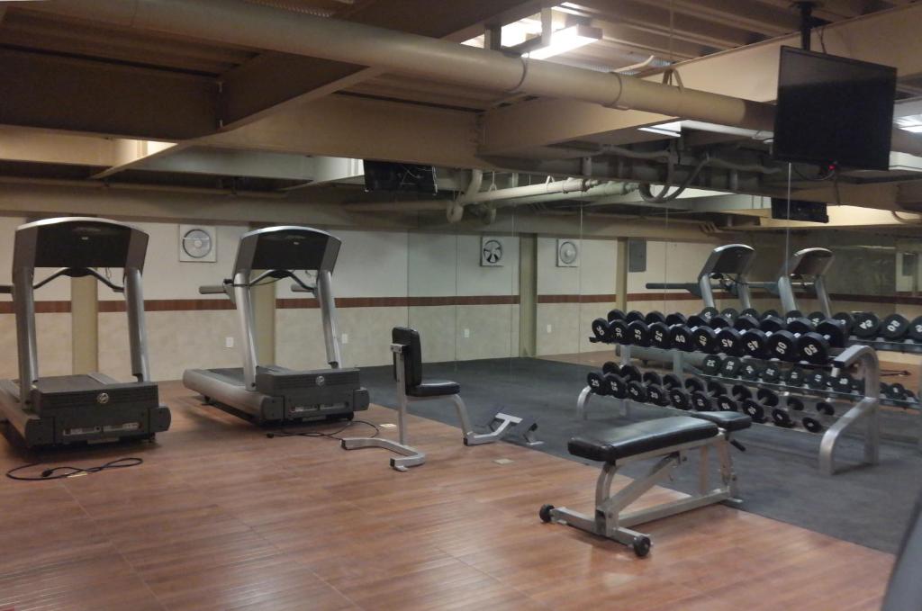 A compact gym with treadmills, free weights, benches and a wall-mounted television.