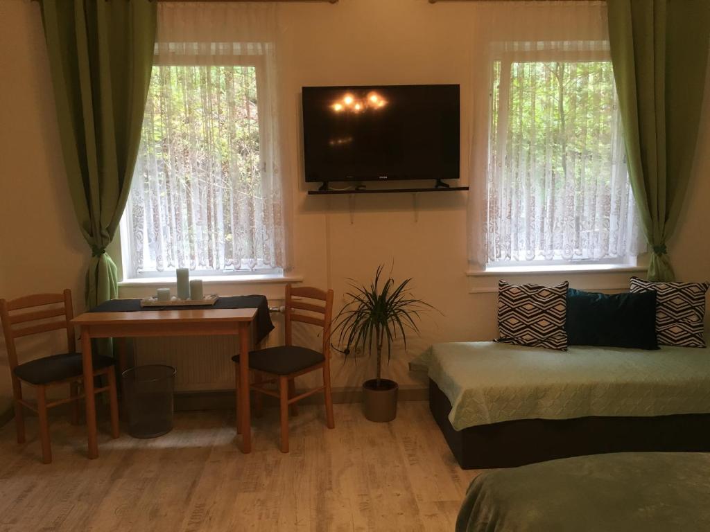 TV a/nebo společenská místnost v ubytování Hopfengrund