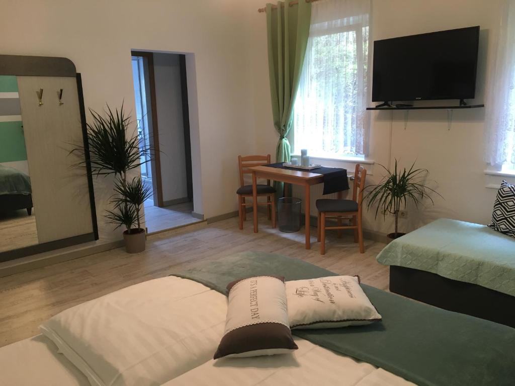 1 dormitorio con 1 cama, escritorio y TV en Hopfengrund, en Arnstadt