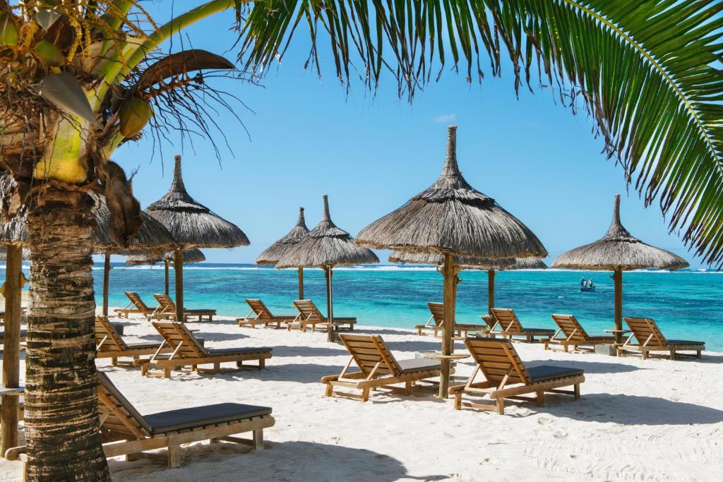 una spiaggia con sedie e ombrelloni e l'oceano di Friday Attitude a Trou d'Eau Douce