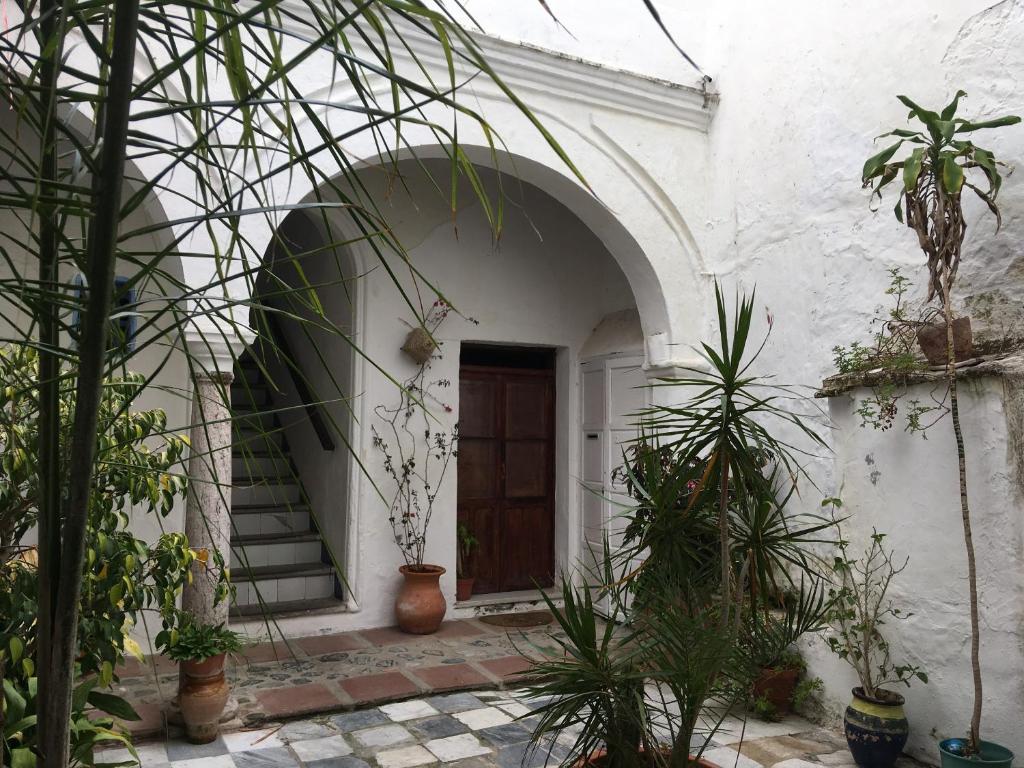 タリファにあるCasa del Patioの鉢植え白い建物入口