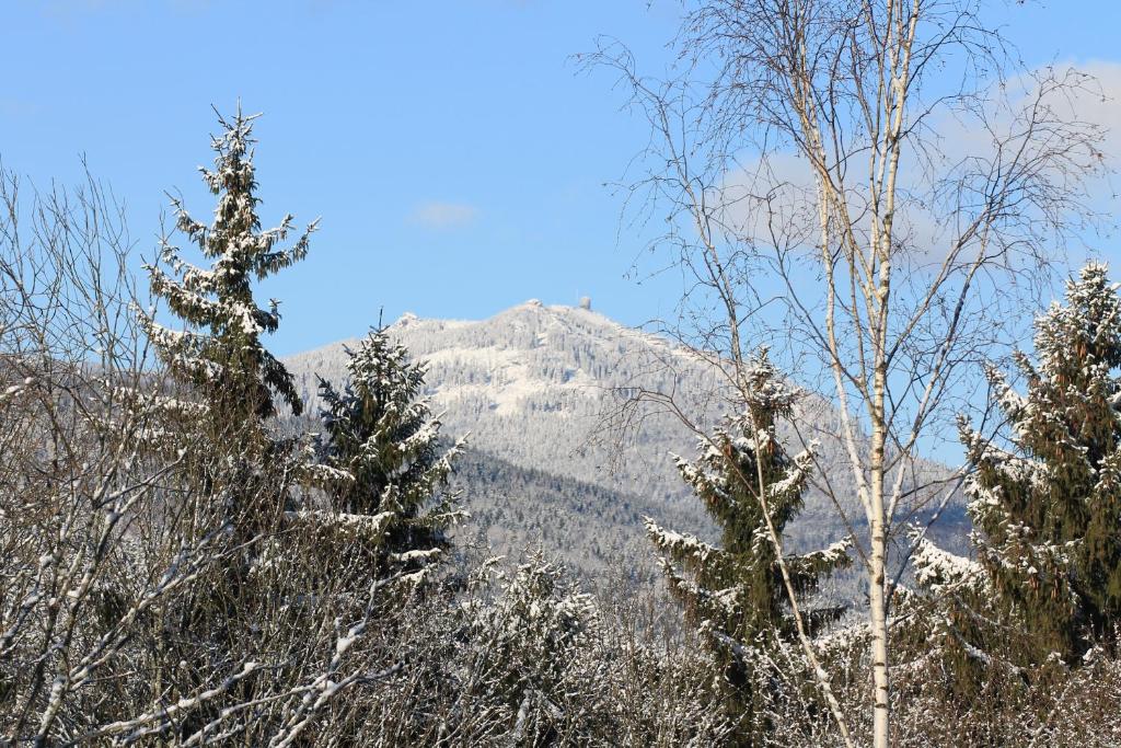 a mountain covered in snow with trees in the foreground at Ferienwohnungen Ludwigsthal in Ludwigsthal