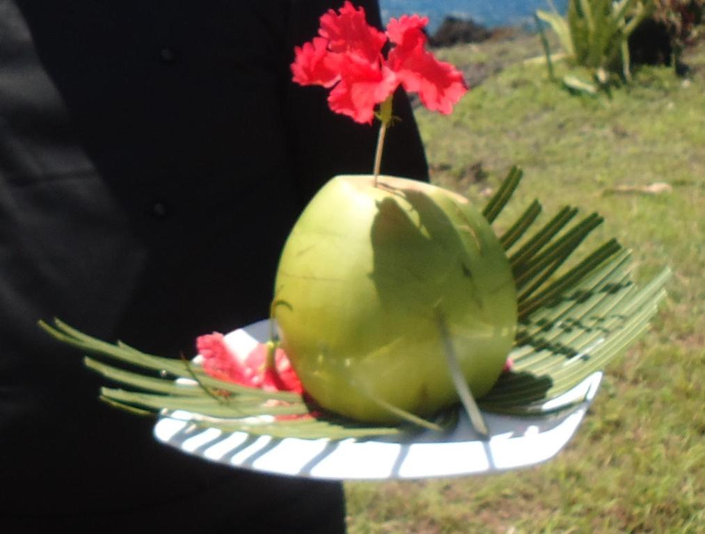 莫罗尼Retaj Moroni的相册照片
