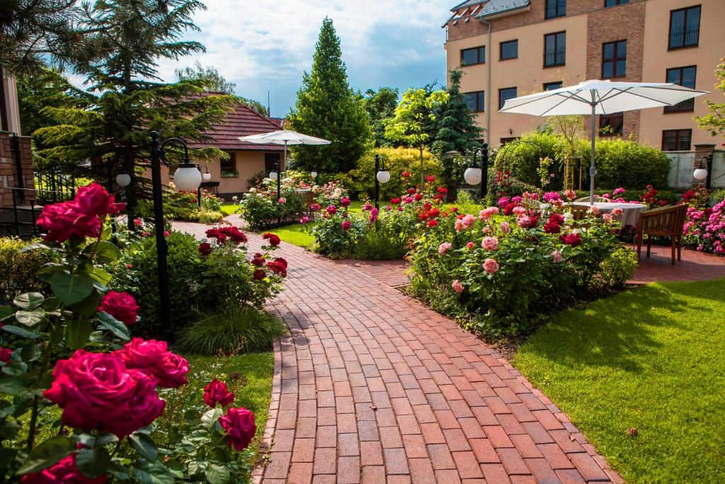 Zahrada ubytování Villa Rosa