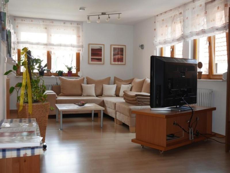 a living room with a couch and a tv at Gaestehaus Stelter in Ettenheim