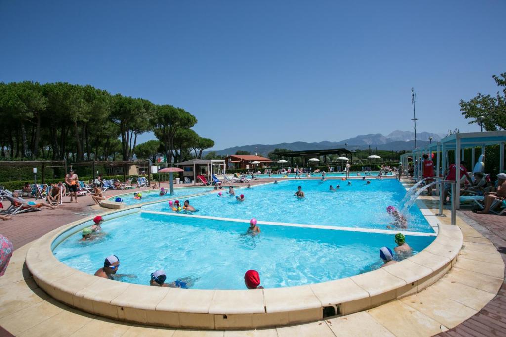 un grupo de personas nadando en una piscina en Camping River, en Ameglia