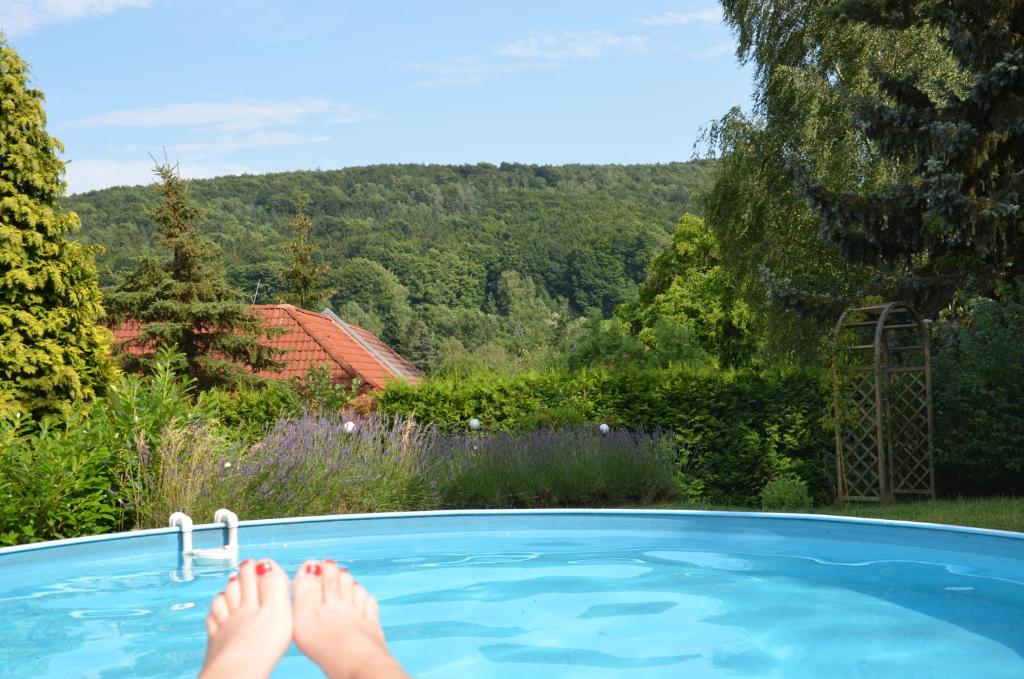 eine Person mit ihren Füßen in einem Pool in der Unterkunft Villa Sonnenseite Jonsdorf in Kurort Jonsdorf
