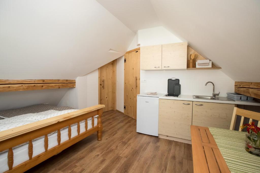 Kuchyň nebo kuchyňský kout v ubytování TriSa apartments Bohinj