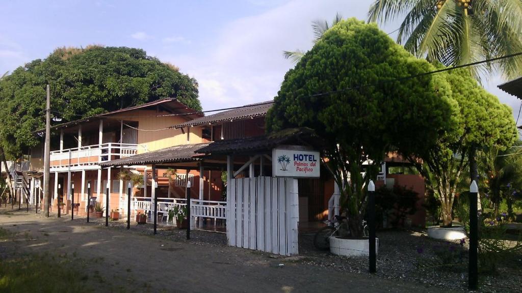 a building with a palm tree in front of it at Hotel Palmas del Pacifico in Nuquí