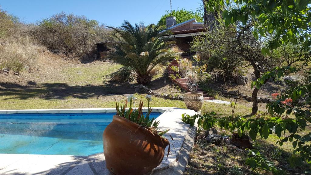 una casa con piscina y algunas plantas en Posada del Crepúsculo en Agua de Oro