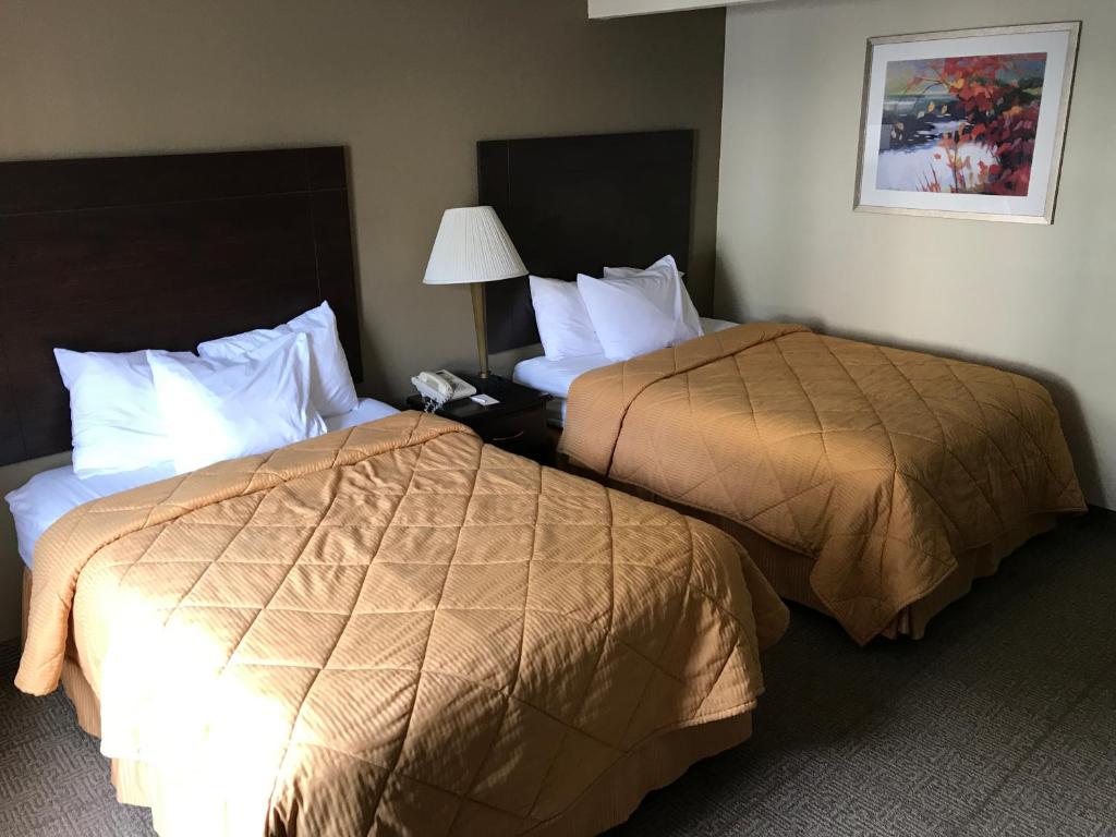 two beds in a hotel room next to each other at Clinton Inn & Suites in Port Clinton