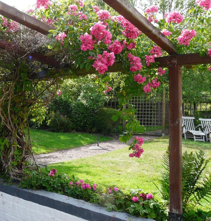 a wooden pergola with pink flowers in a yard at La Quitapenas in Ronse