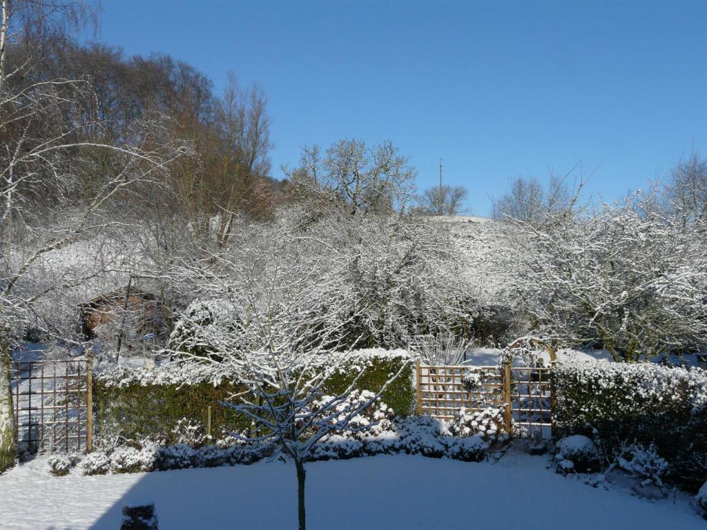 a garden covered in snow with a fence and a tree at La Quitapenas in Ronse