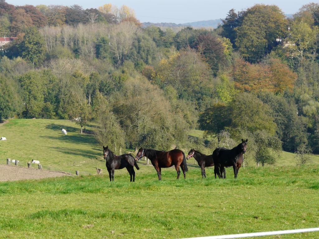 Gallery image of La Quitapenas in Ronse